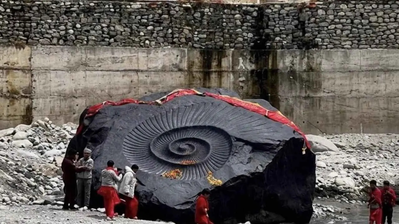Nepal Shaligram Fact Check