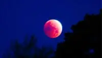 Partial Lunar Eclipse