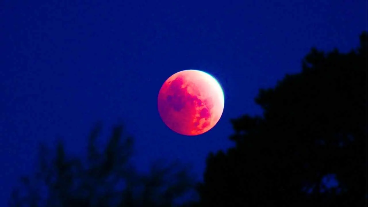 Partial Lunar Eclipse