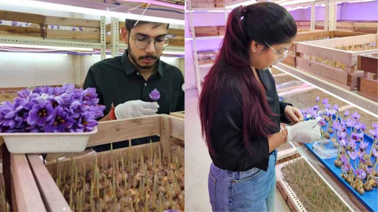 Success Story of Aastika Narula and Shankar Narula
