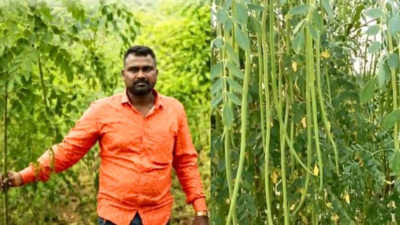 Success Story of Sagar Yelpale