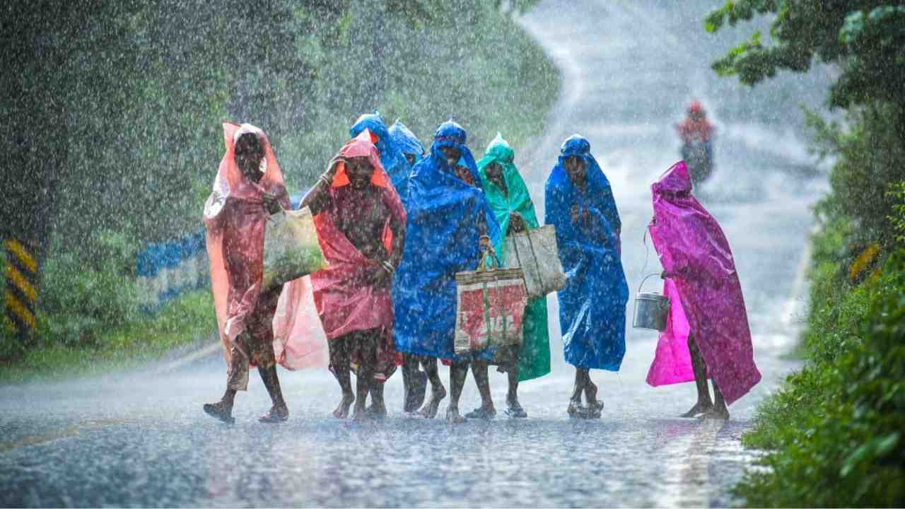 Weather Today