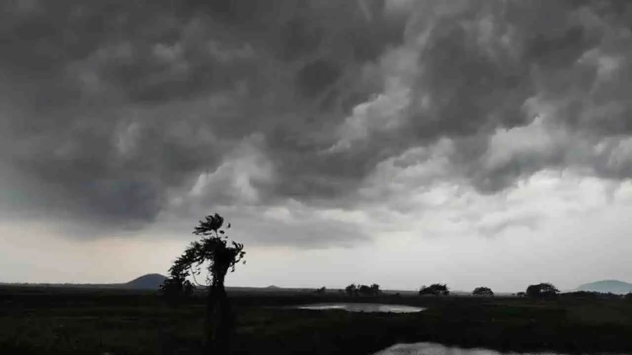 Weather Today