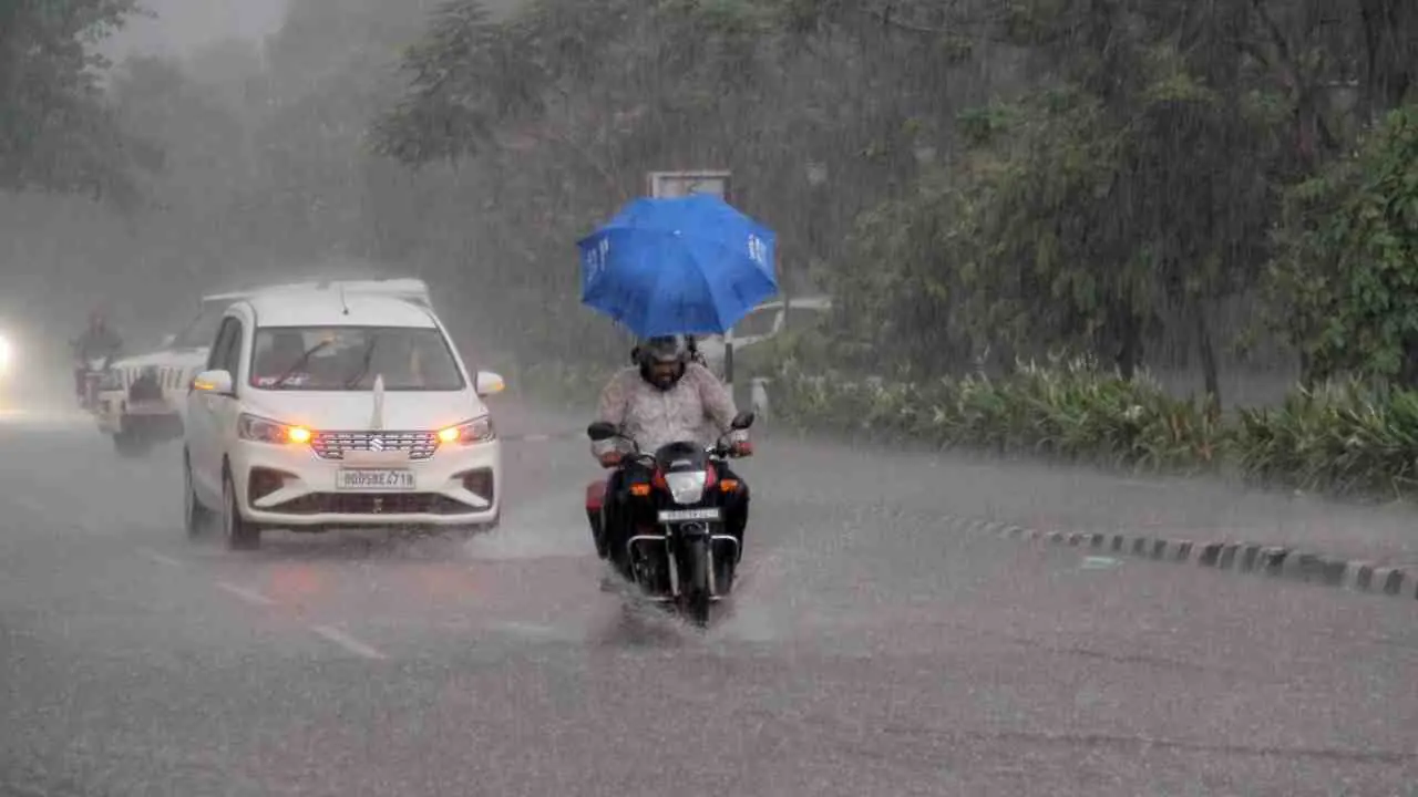 Weather Today