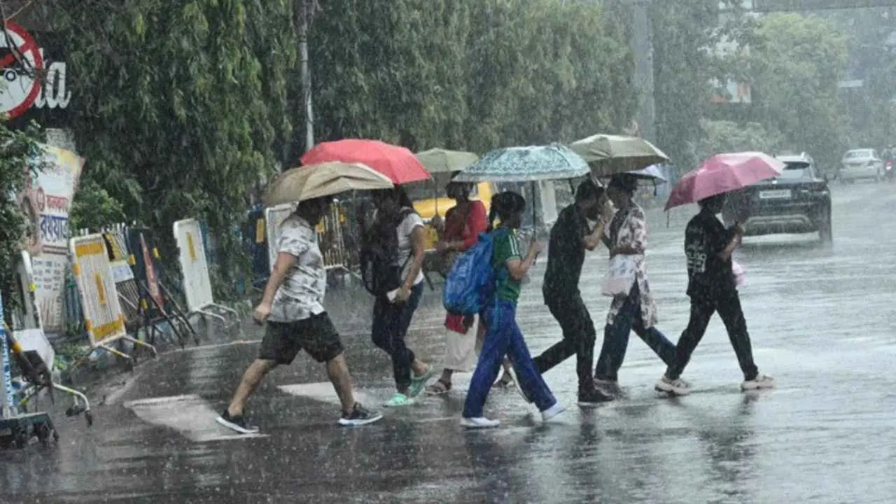বুধবার থেকেই বদলা, উত্তরবঙ্গে বাড়বে দুর্যোগ, কেমন থাকবে আগামীকালের আবহাওয়া?