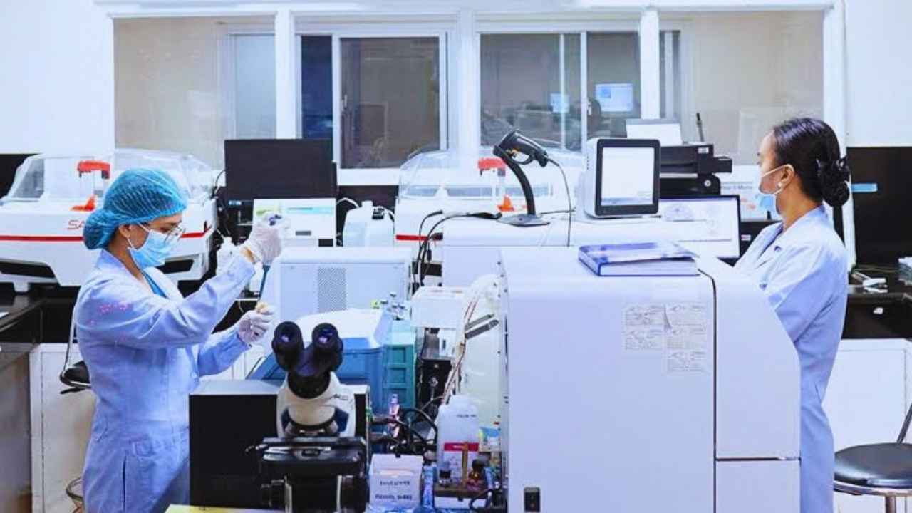 24 Hour Lab Service