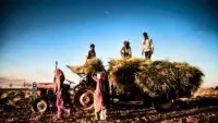 Agricultural Equipment