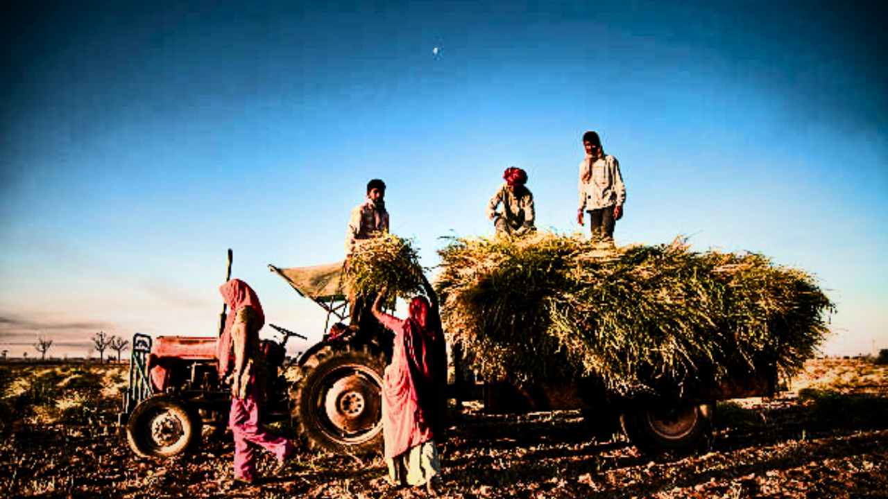Agricultural Equipment