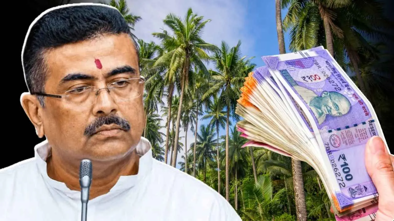 Coconut farming