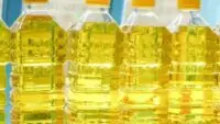 Cooking Oil Price