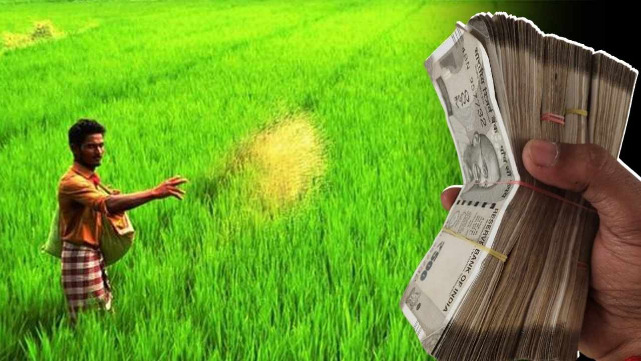Crop Insurance