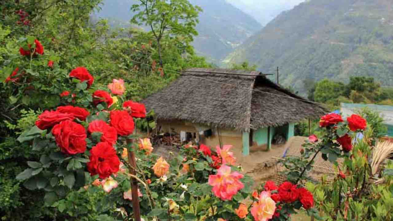 Darap Sikkim Offbeat