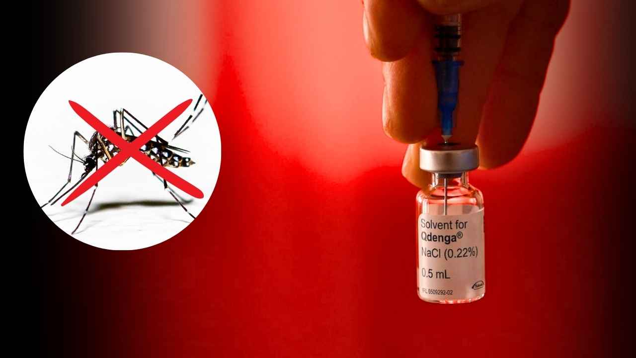Dengue Vaccine
