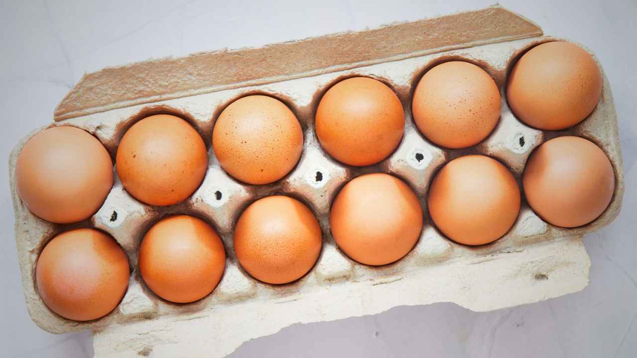Egg Freshness Test