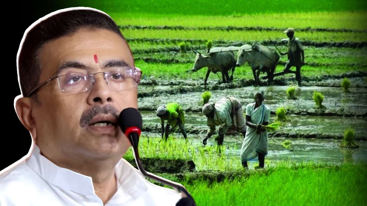 Farmer