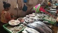 Fresh Fish