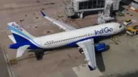 Indigo
