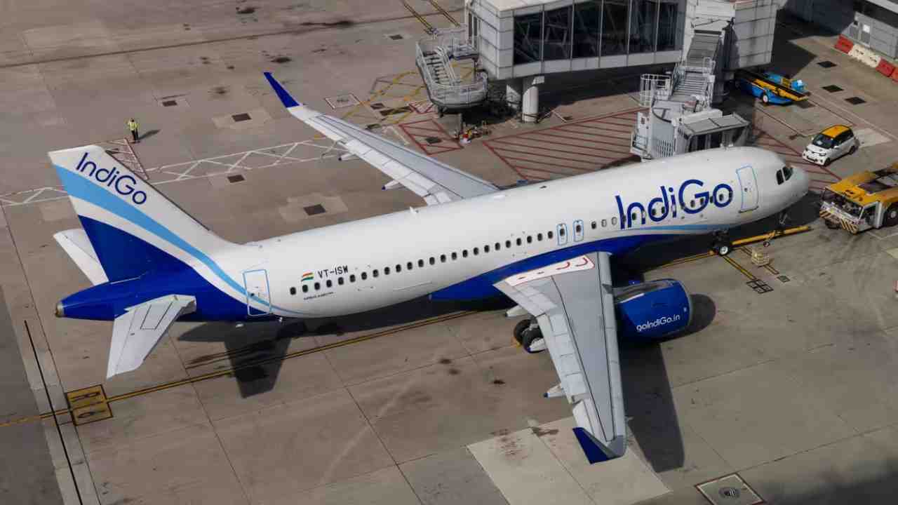 Indigo