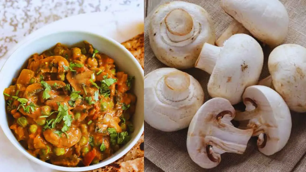 Matar Mushroom