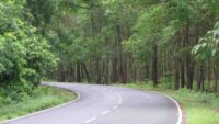 Matigara Dooars Highway