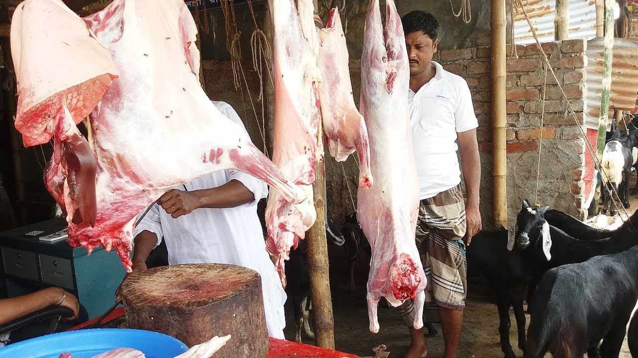 Mutton