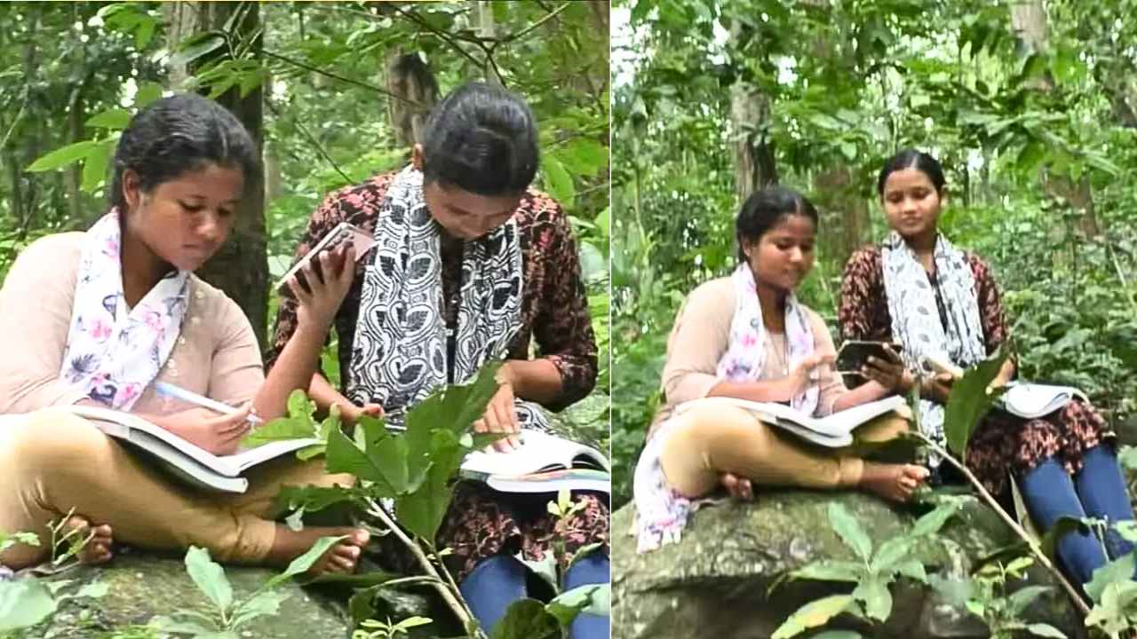 NEET Success Story of Odisha Sisters