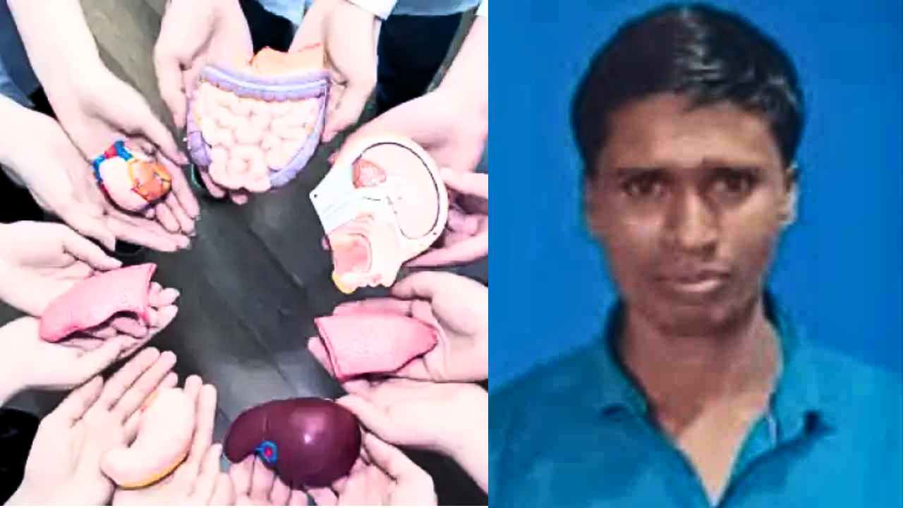 Organ Donation
