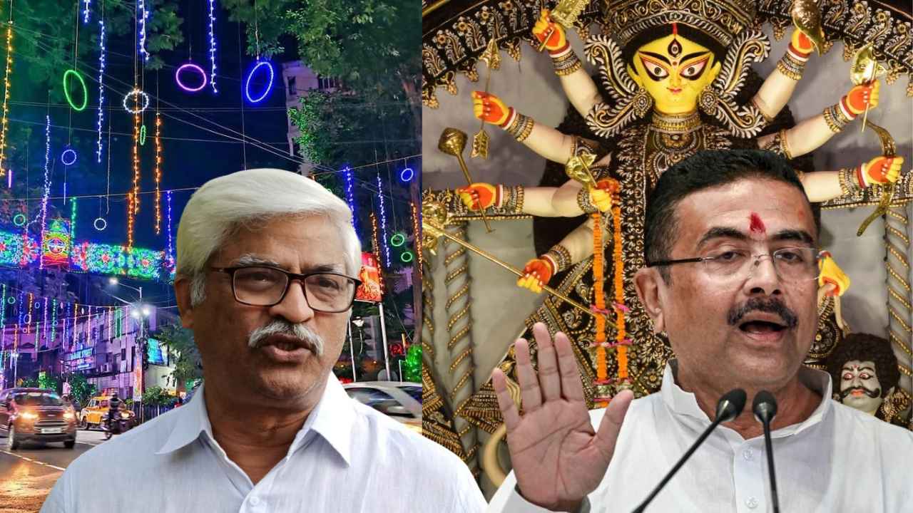 Park Street Durga Puja