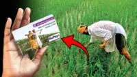 Pm kisan
