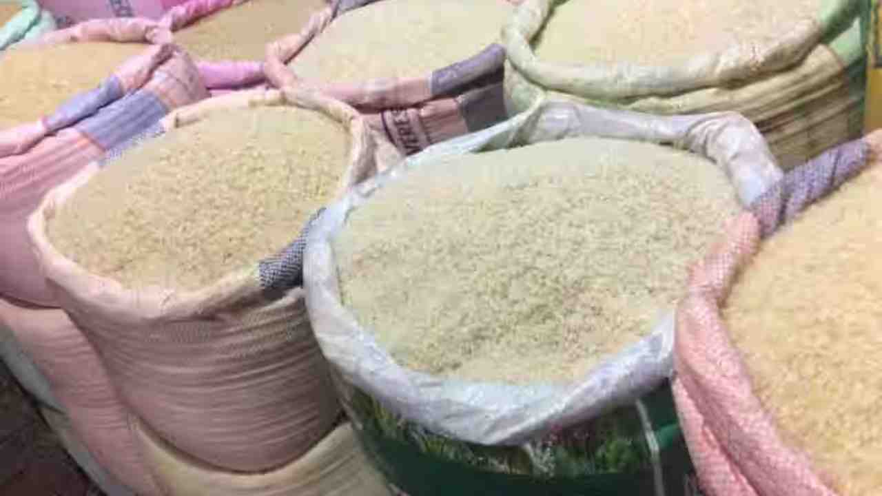 Rice Price