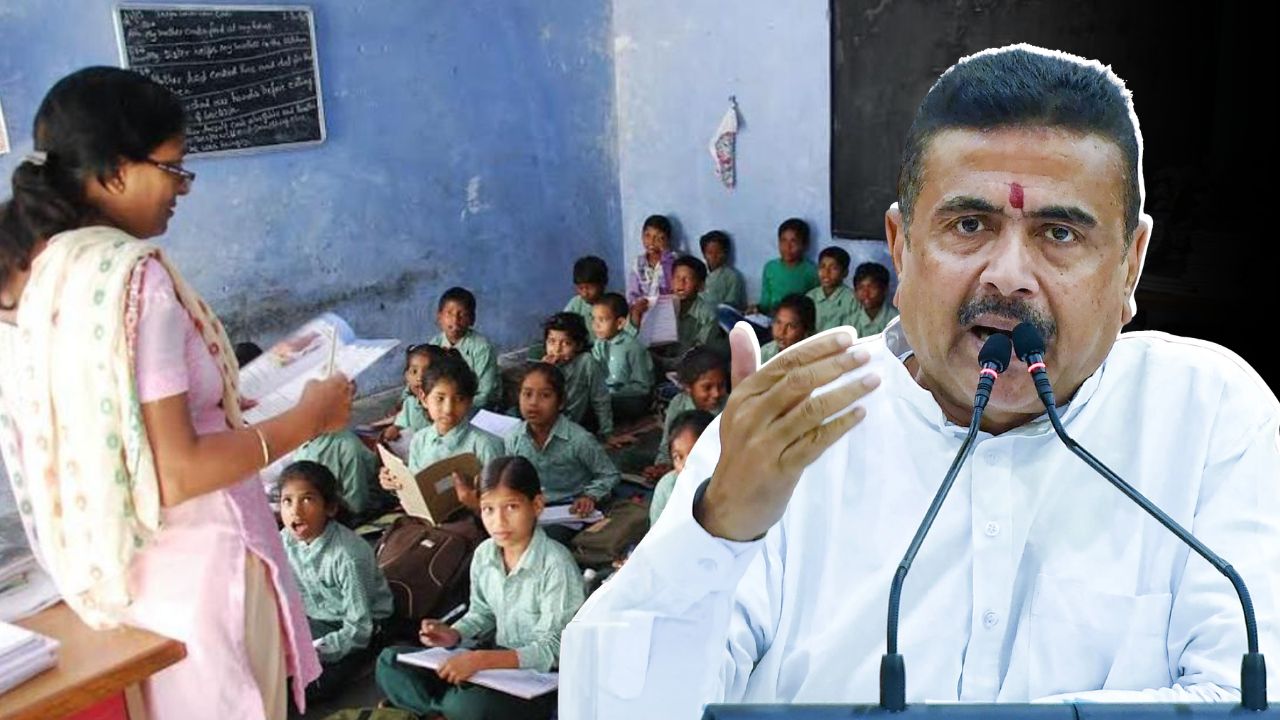 School Teacher