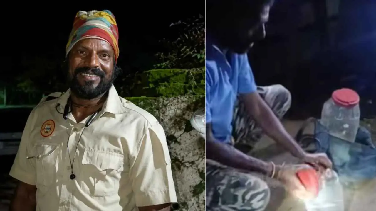 Snake Rescuer Dies
