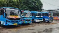 Special bus
