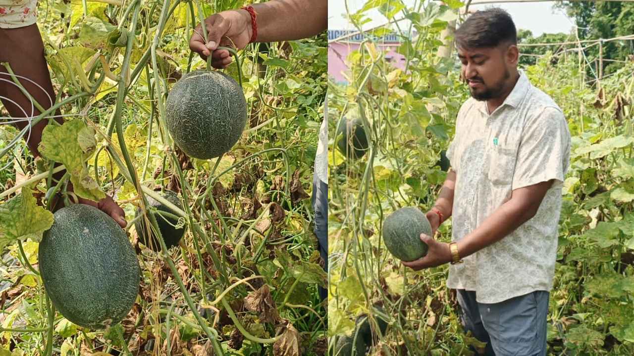Success Story of Farmer Monotosh Rajbongshi