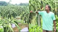 Success Story of farmer Subrata Mahesh