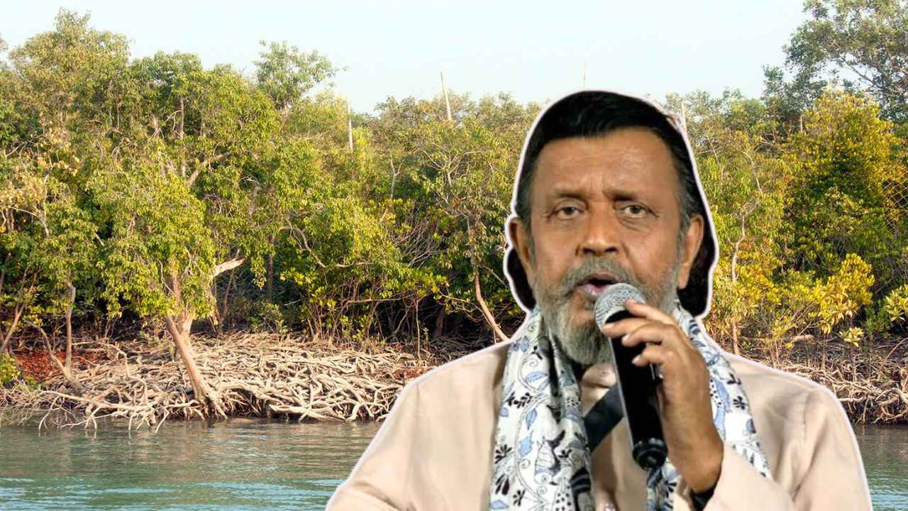 Sundarban