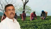 Tea Workers Bonus Hike
