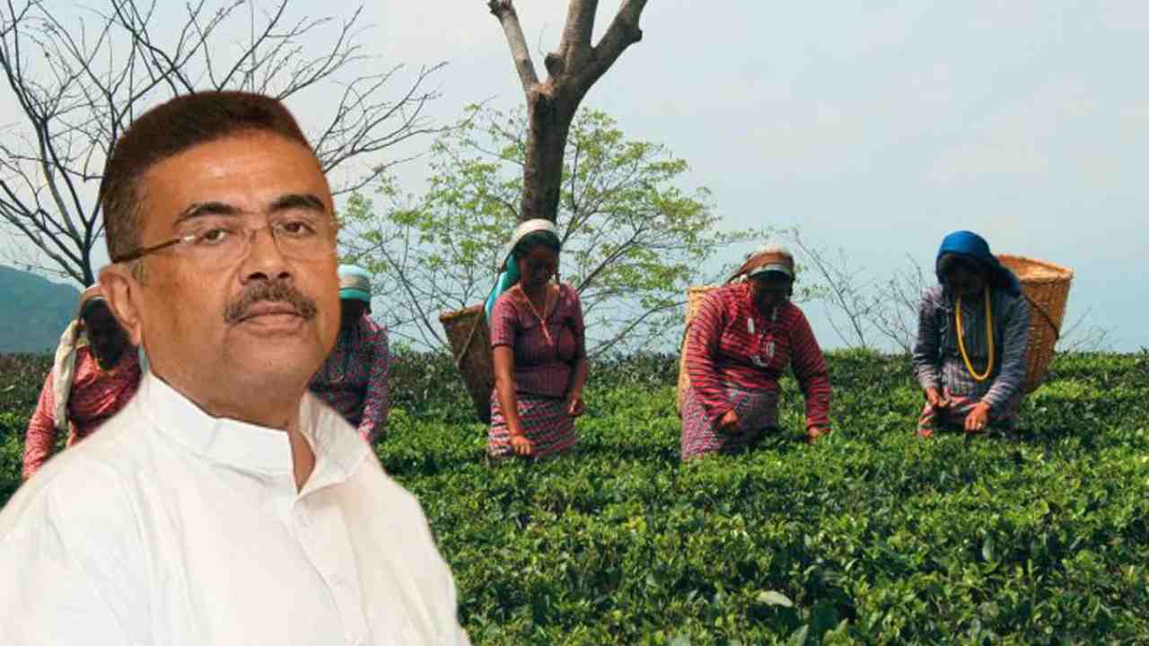 Tea Workers Bonus Hike