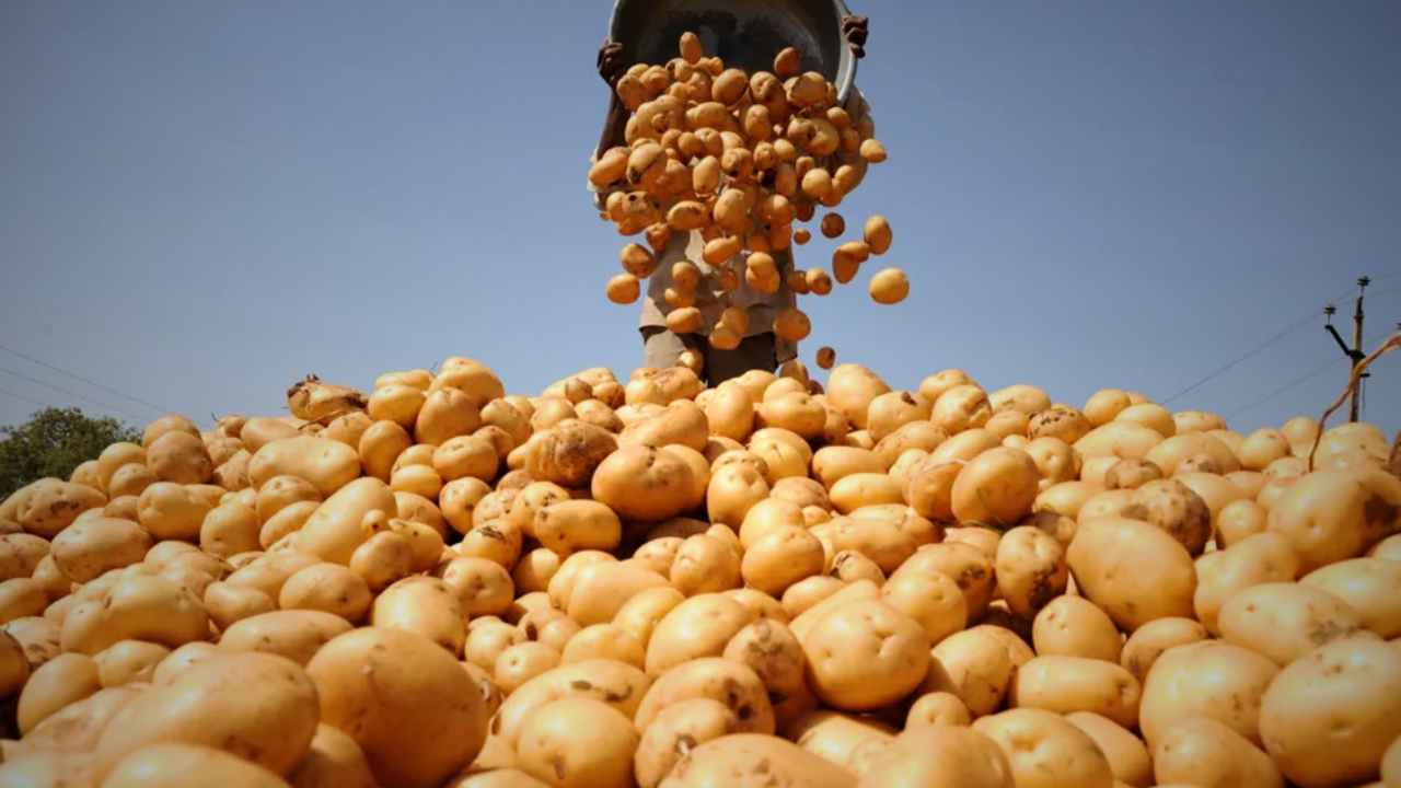 Transportation Subsidy for Potato