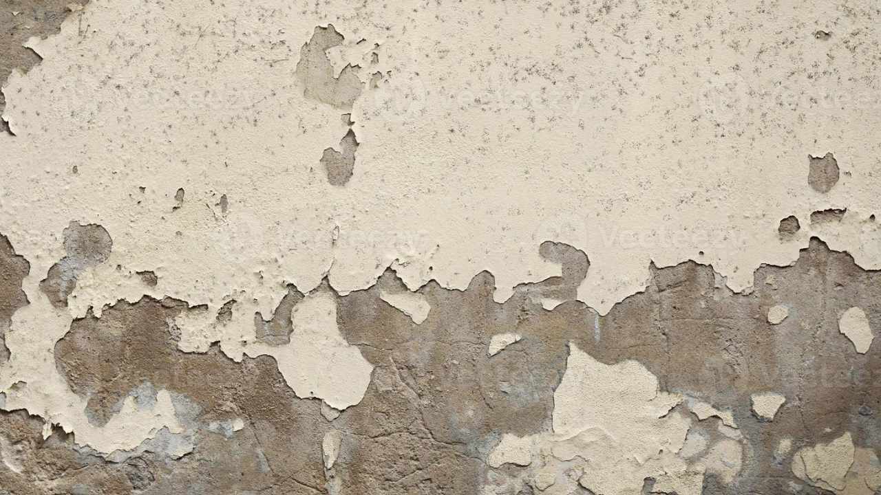 Wall Paint