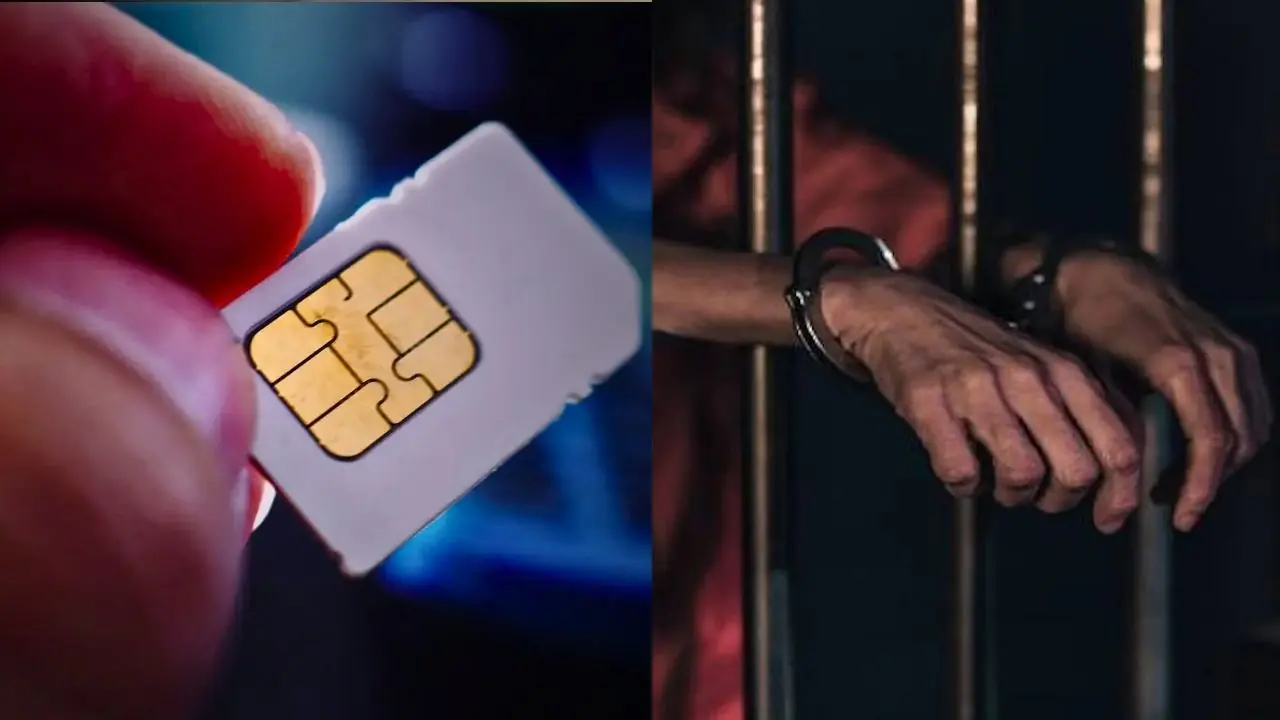 sim crime