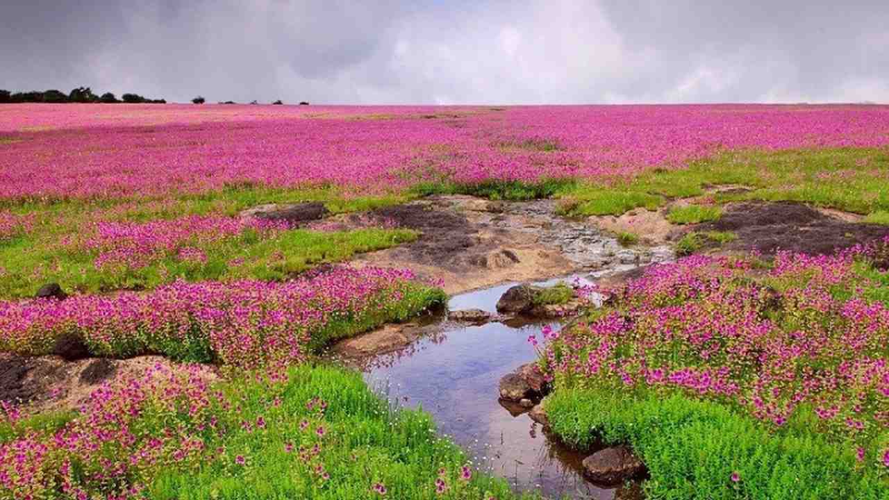 kas pathar
