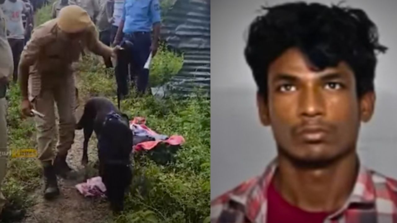 rohingya