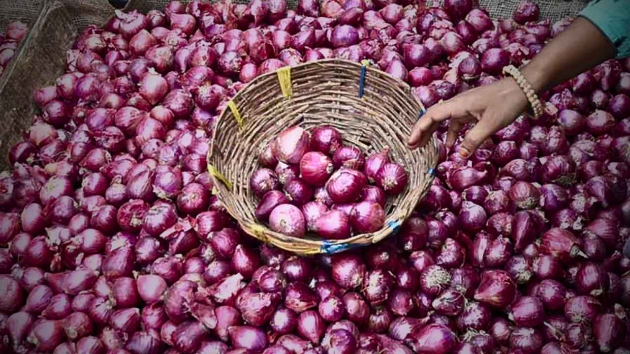 35kg onion