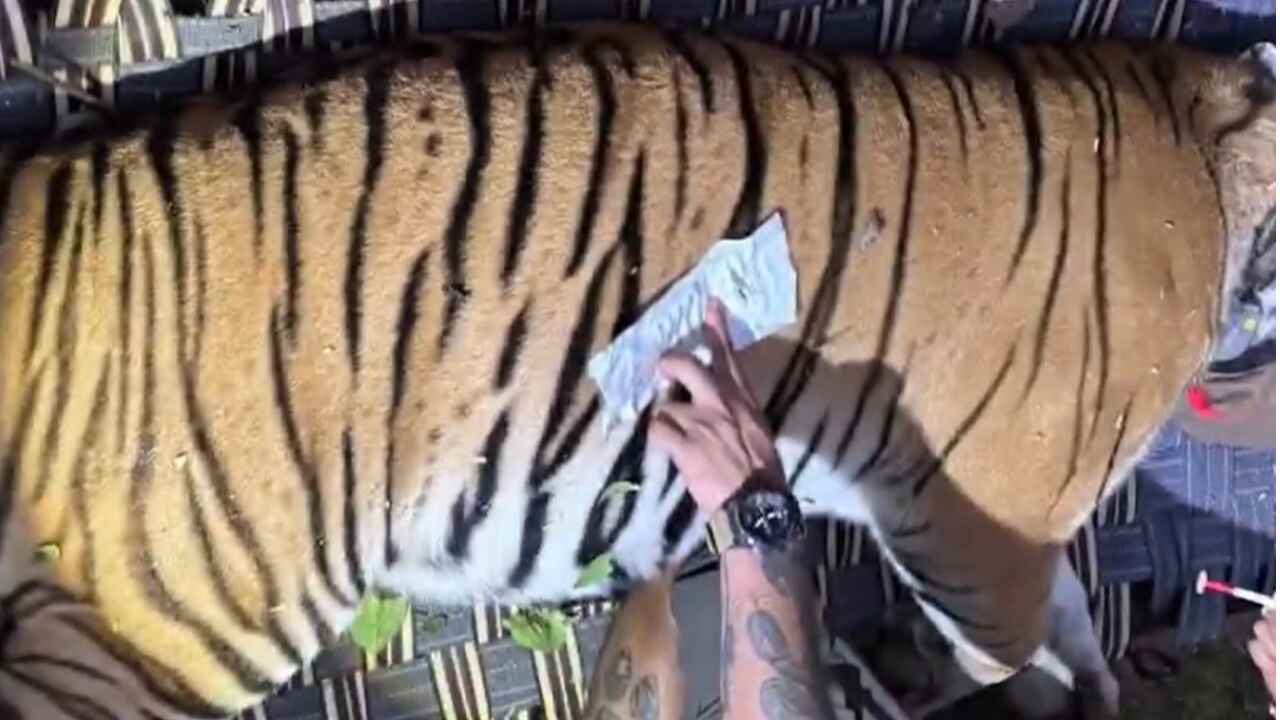 Buxa Tiger Reserve