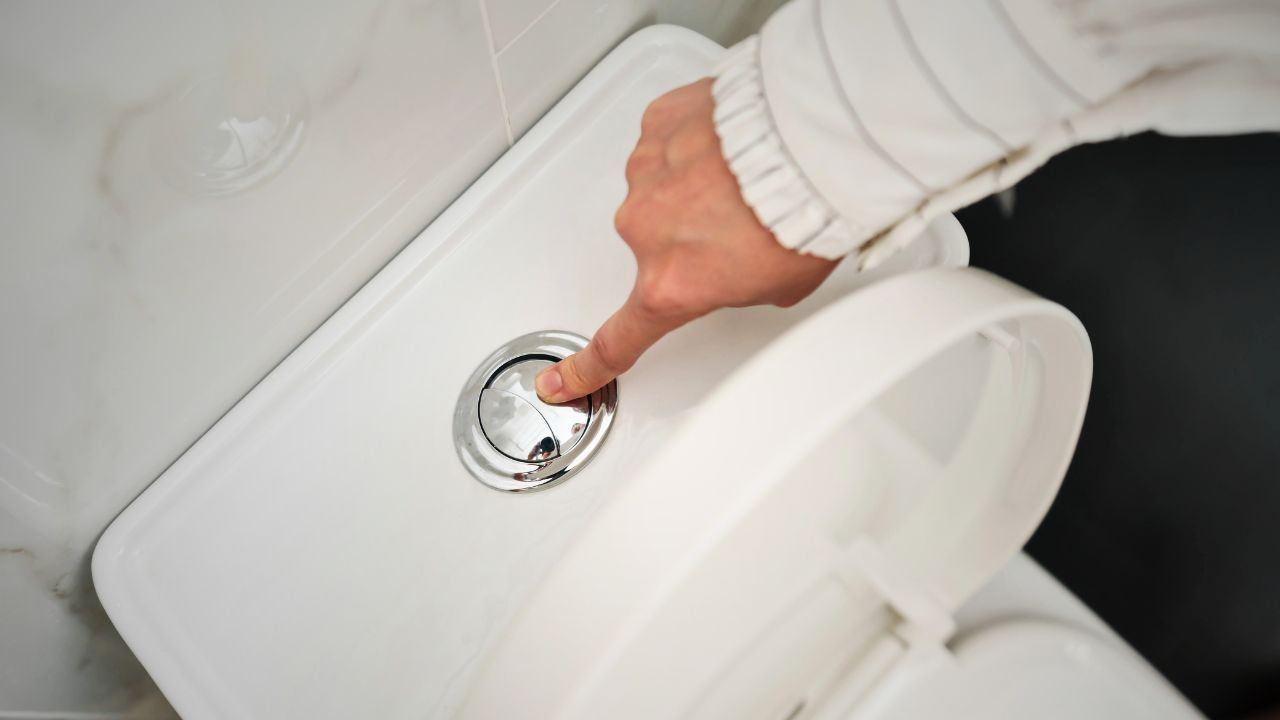 Dual Flush Buttons