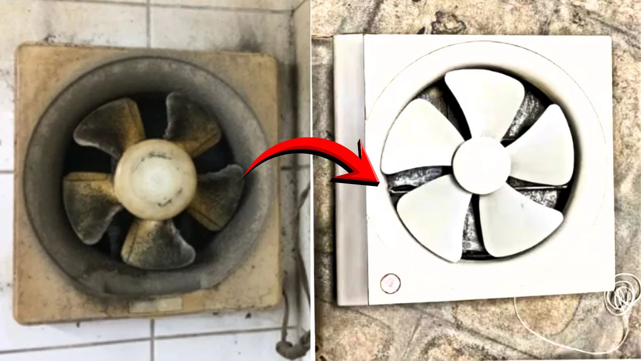 Exhaust Fan Cleaning
