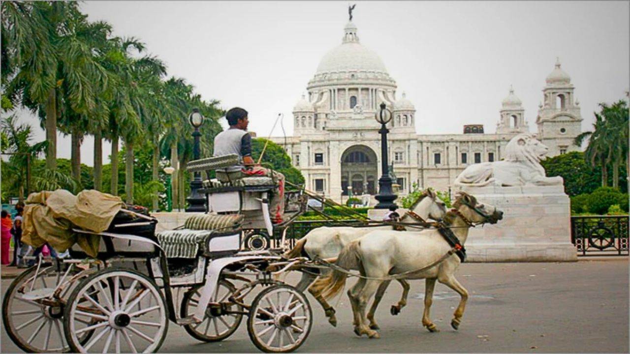 Horse-drawn Carriages