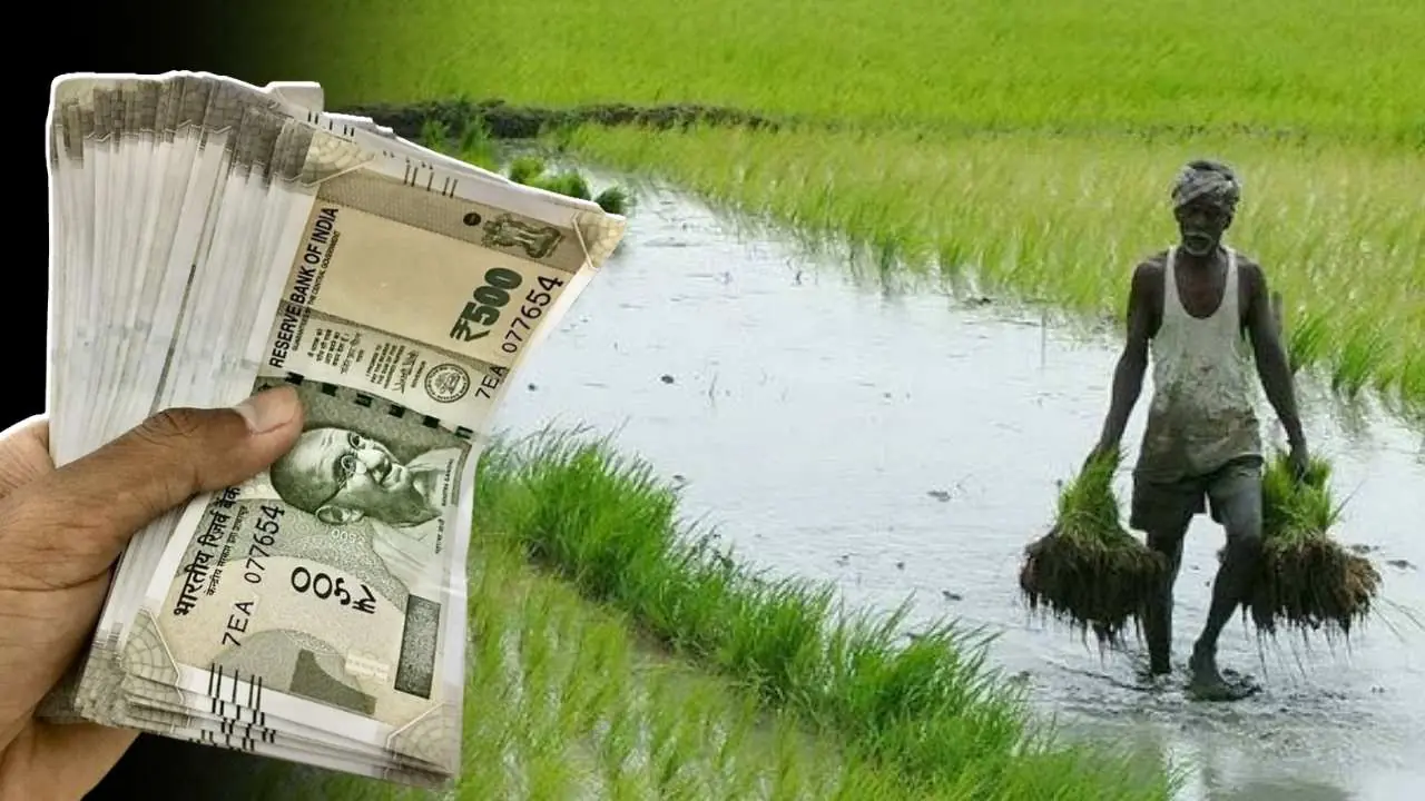 Loan Waiver