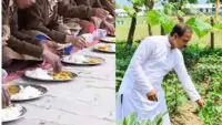 Mid Day Meal Vegetable Farming